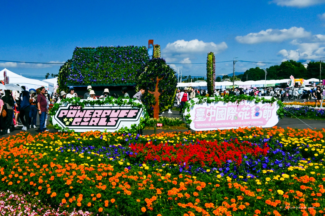 2025 新社花海暨臺中國際花毯節,飛天小女警一同參與賞花盛典! - 第4張圖