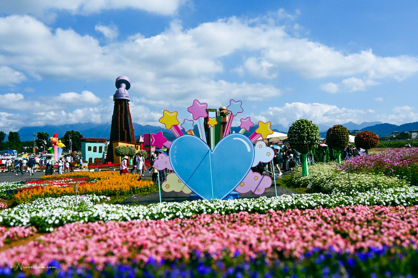 2025 新社花海暨臺中國際花毯節,飛天小女警一同參與賞花盛典! - 第12張圖