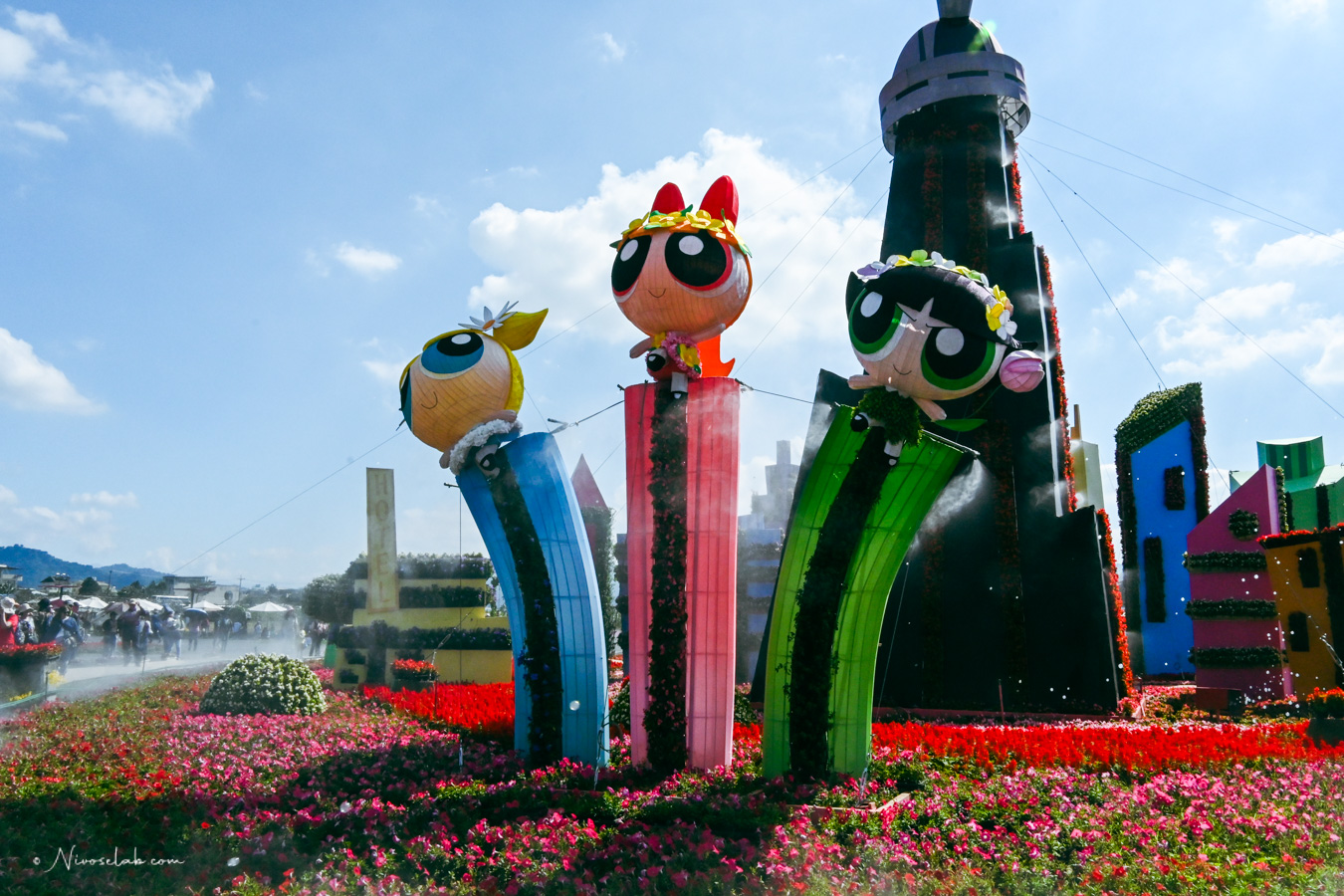 2025 新社花海暨臺中國際花毯節,飛天小女警一同參與賞花盛典! - 第6張圖