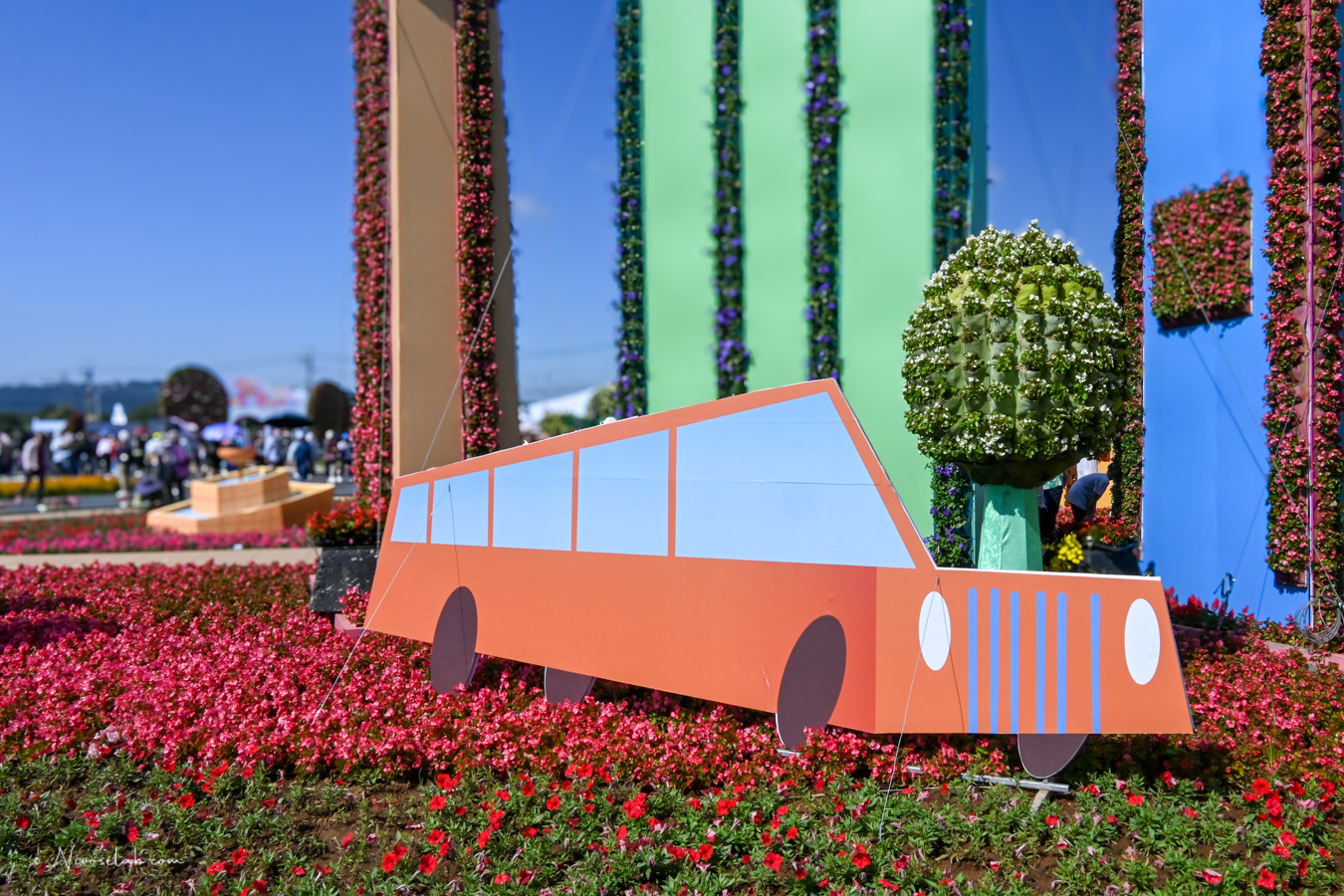 2025 新社花海暨臺中國際花毯節,飛天小女警一同參與賞花盛典! - 第7張圖