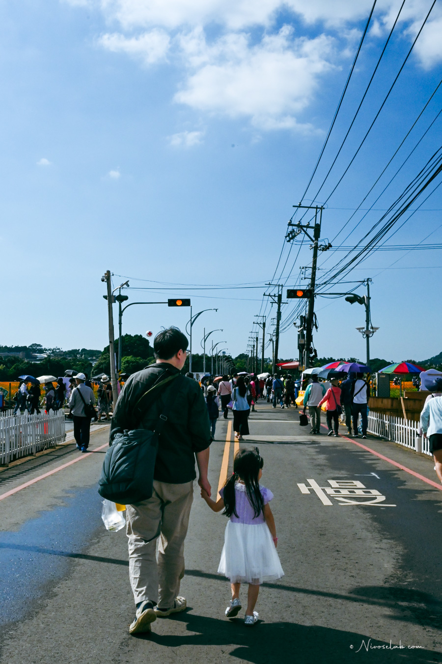 2025 新社花海暨臺中國際花毯節,飛天小女警一同參與賞花盛典! - 第14張圖