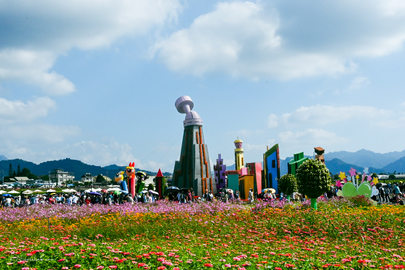 2025 新社花海暨臺中國際花毯節,飛天小女警一同參與賞花盛典! - 第5張圖