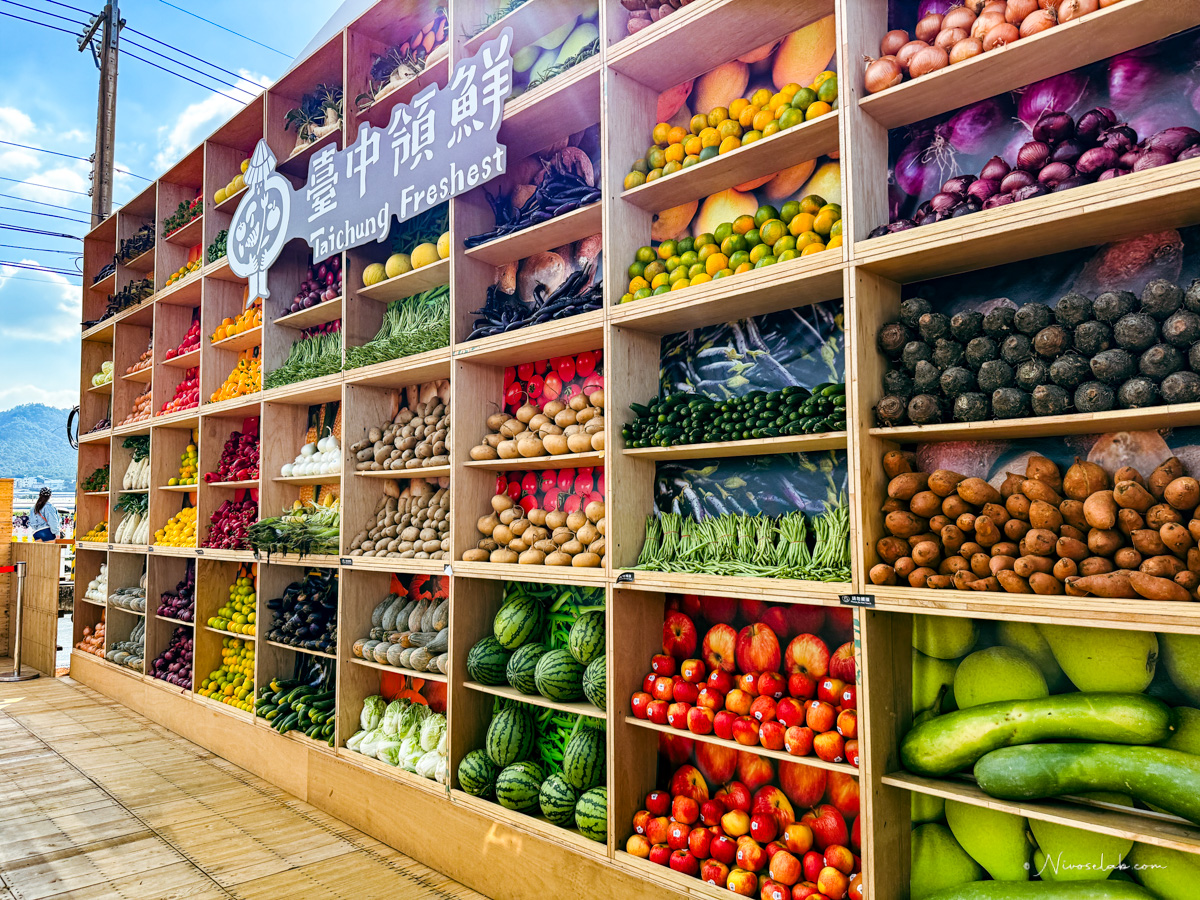 2025 新社花海暨臺中國際花毯節,飛天小女警一同參與賞花盛典! - 第17張圖