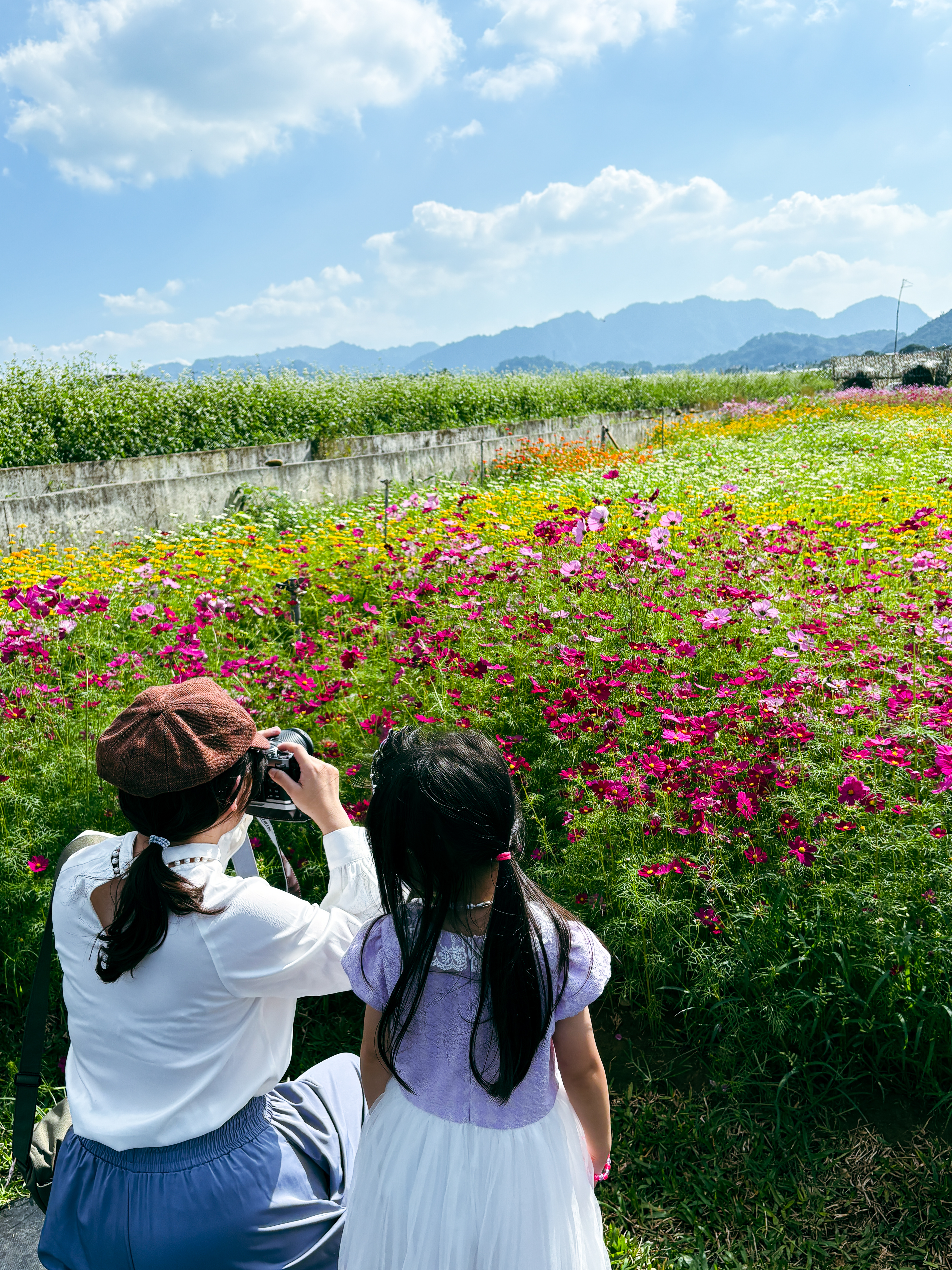 2025 新社花海暨臺中國際花毯節,飛天小女警一同參與賞花盛典! - 第21張圖