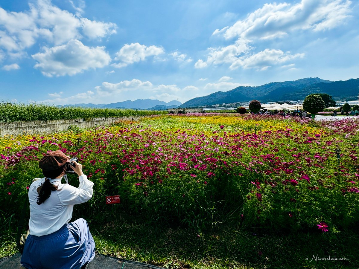 2025 新社花海暨臺中國際花毯節,飛天小女警一同參與賞花盛典! - 第19張圖