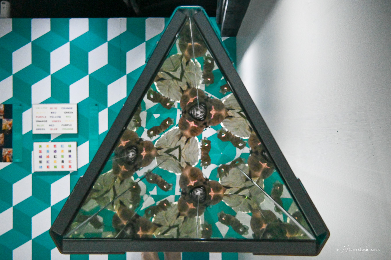 15+ 必拍亮點！幻覺博物館帶你進入現實與錯覺交錯的奇幻世界